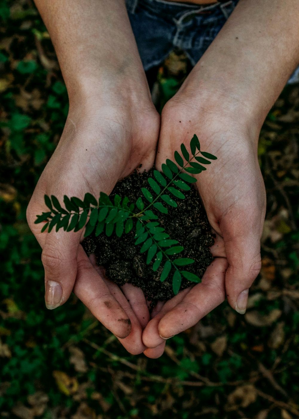 Plant nurturing - metaphor for human growth and healing